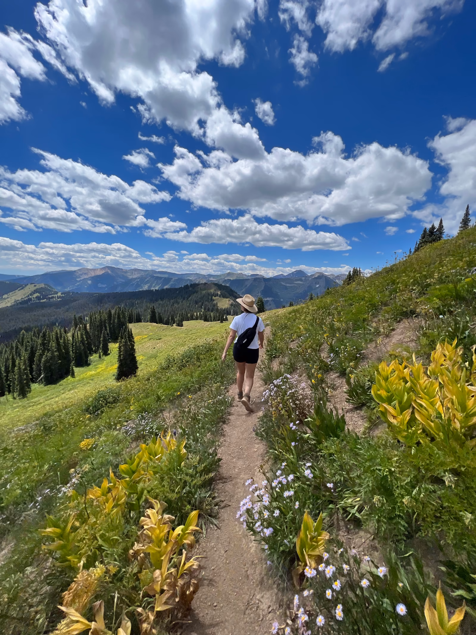 Traveller in a wildflower meadow overlooking green hills and rugged mountain peaks