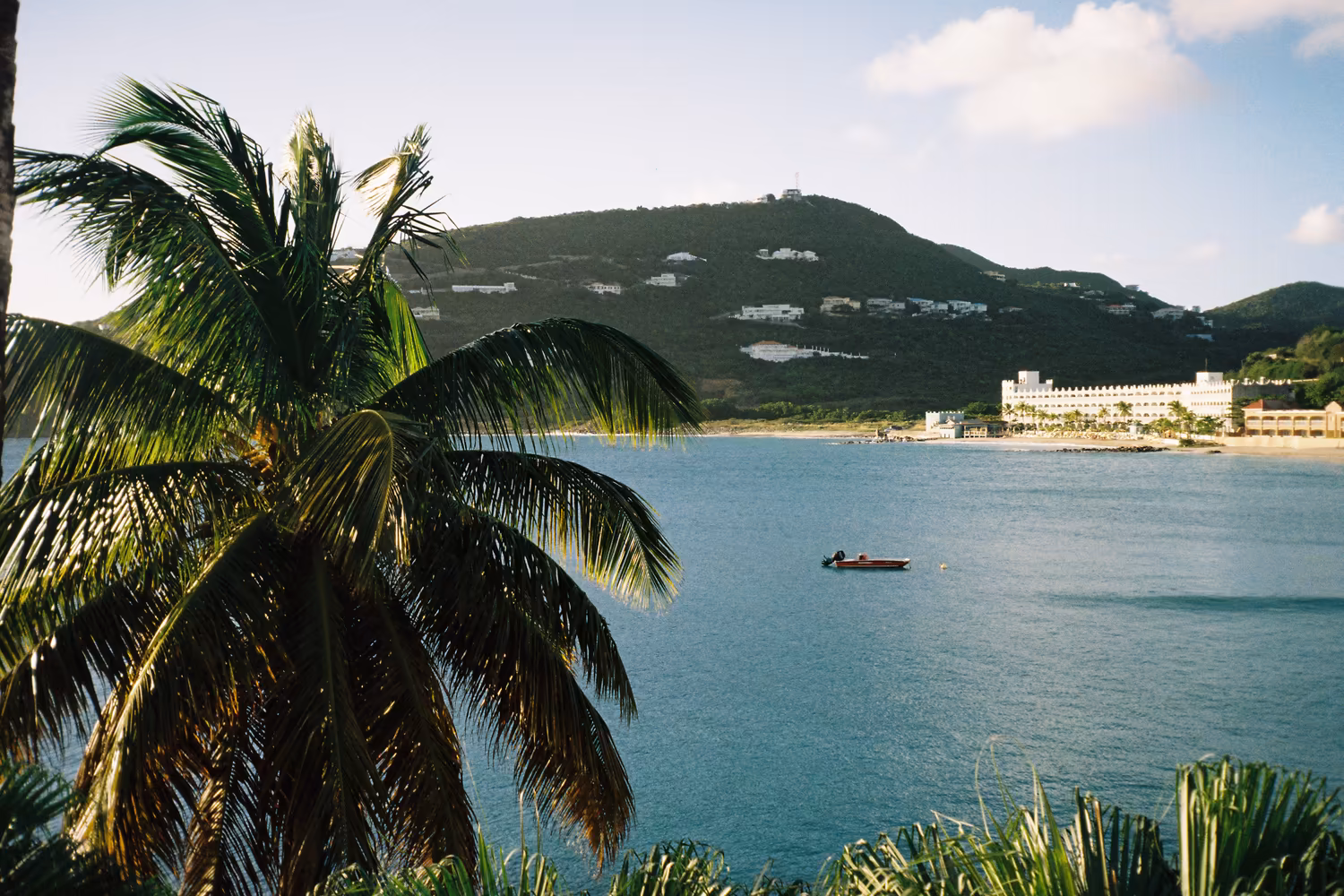 Tropical island coast with palm trees for a private family vacation photo album