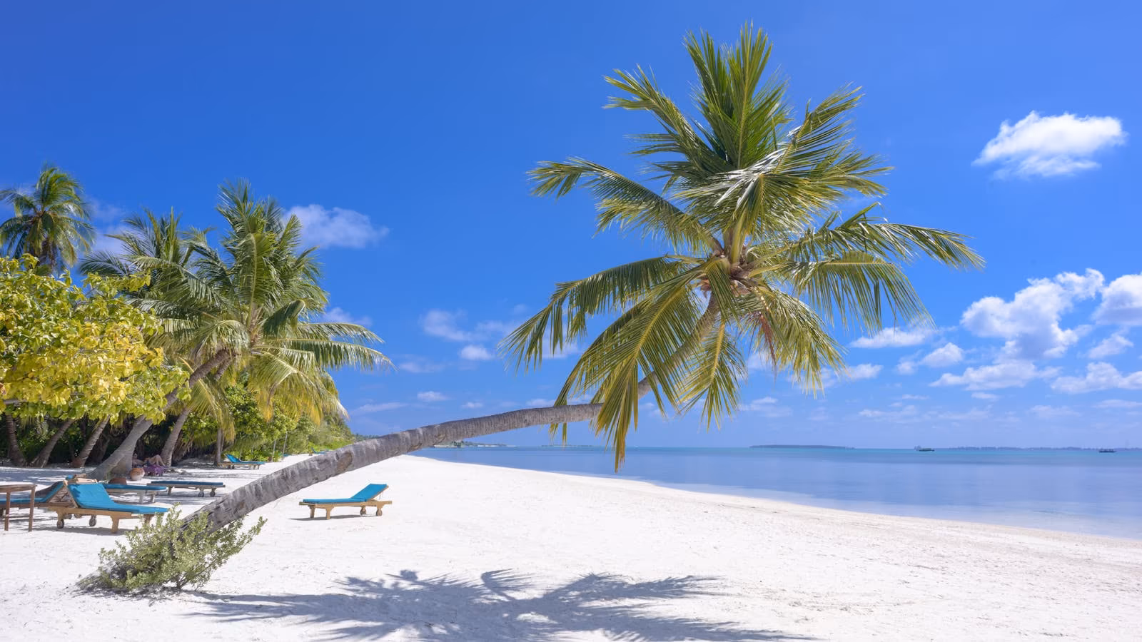 A bright tropical beach with turquoise water