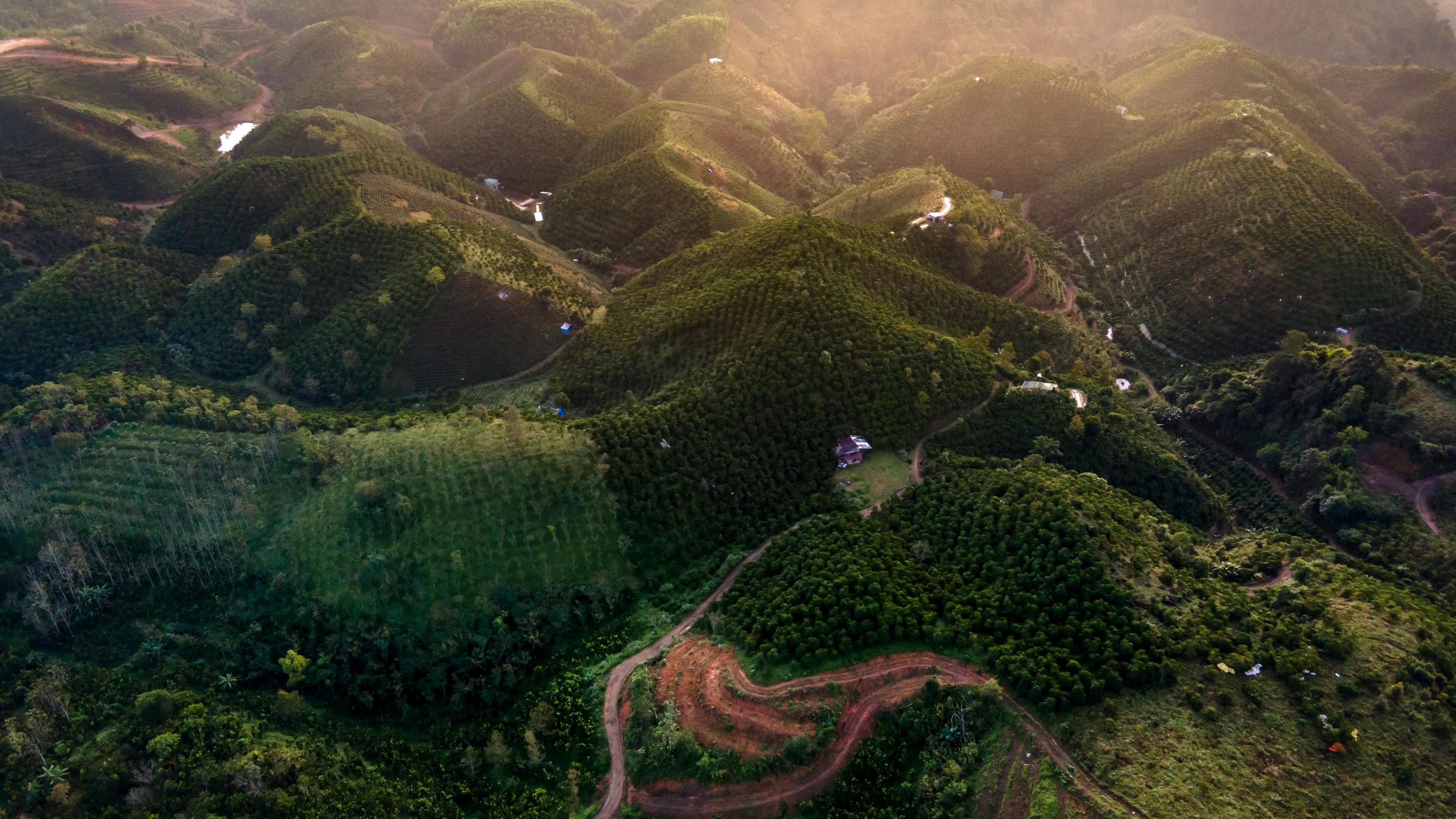 The Art of Anticipation: Why Your Travel Journal Starts BEFORE You Leave