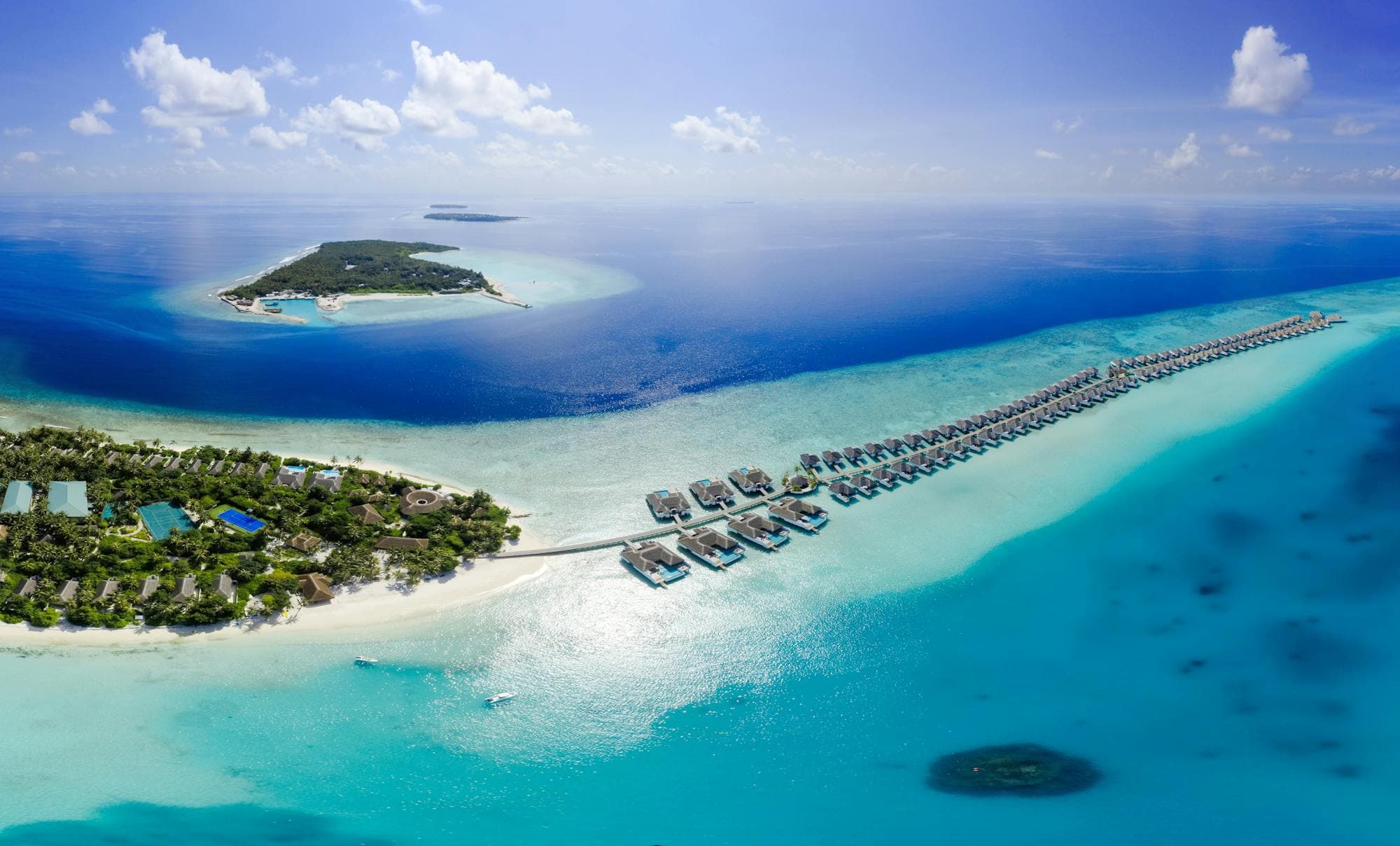 Palm-fringed white sand beach with turquoise water in the Maldives