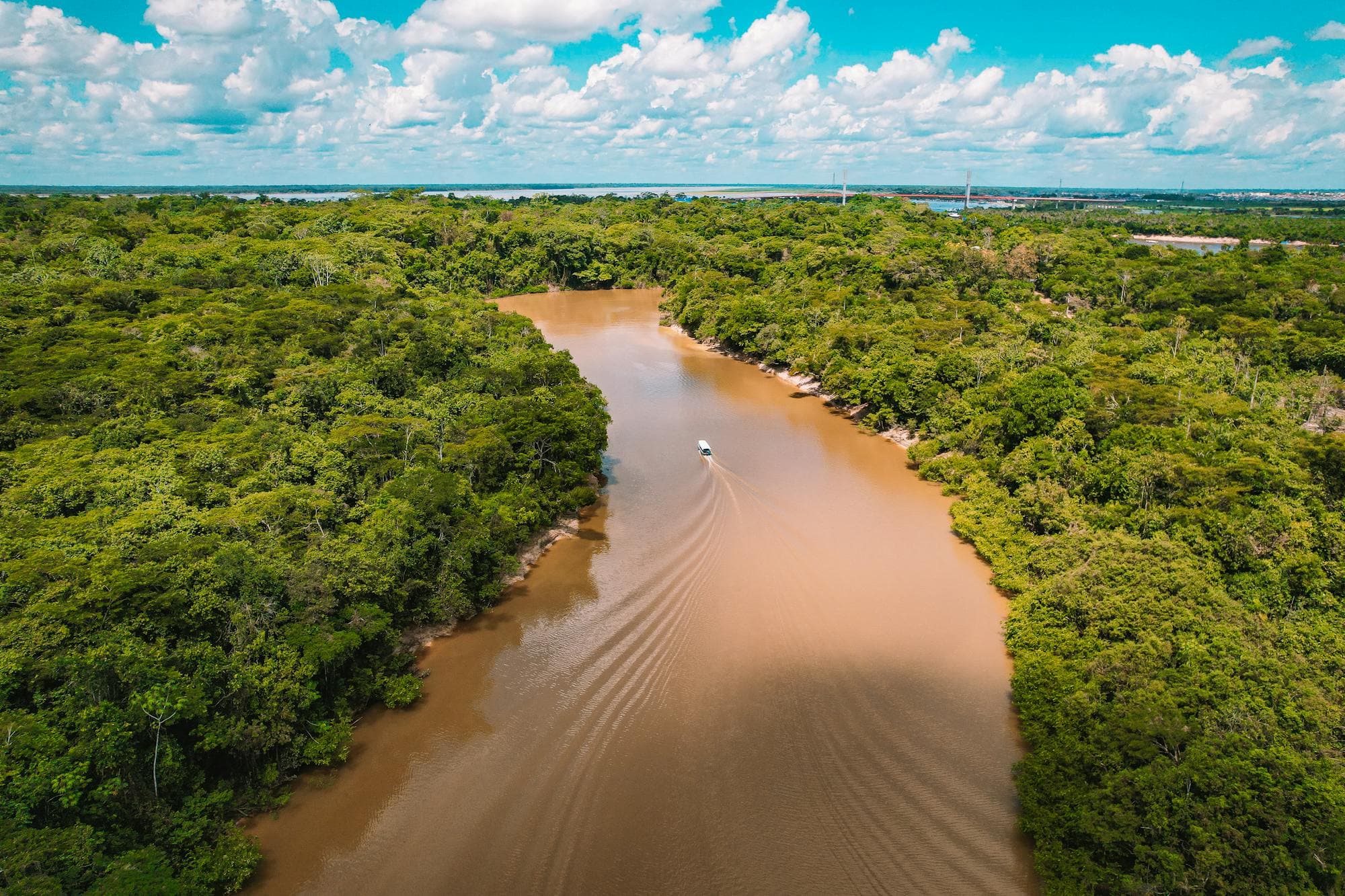 Aerial view of the Amazon rainforest canopy and a winding tributary