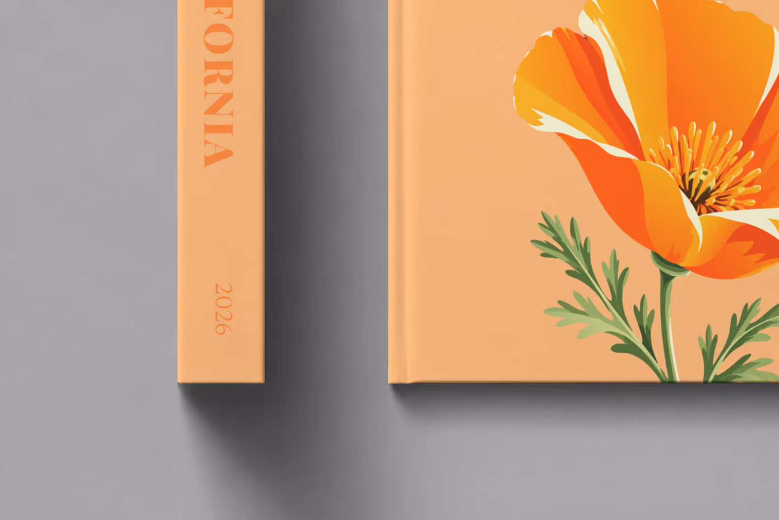 California hardcover photo book with the illustrated cover of a California poppy on peach, shown close up beside its spine on a pale grey studio surface