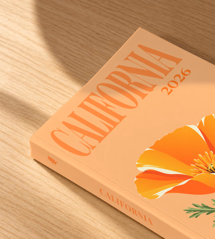 California softcover photo book with the illustrated cover of a California poppy on peach, lying on an oak desk in dappled afternoon sunlight