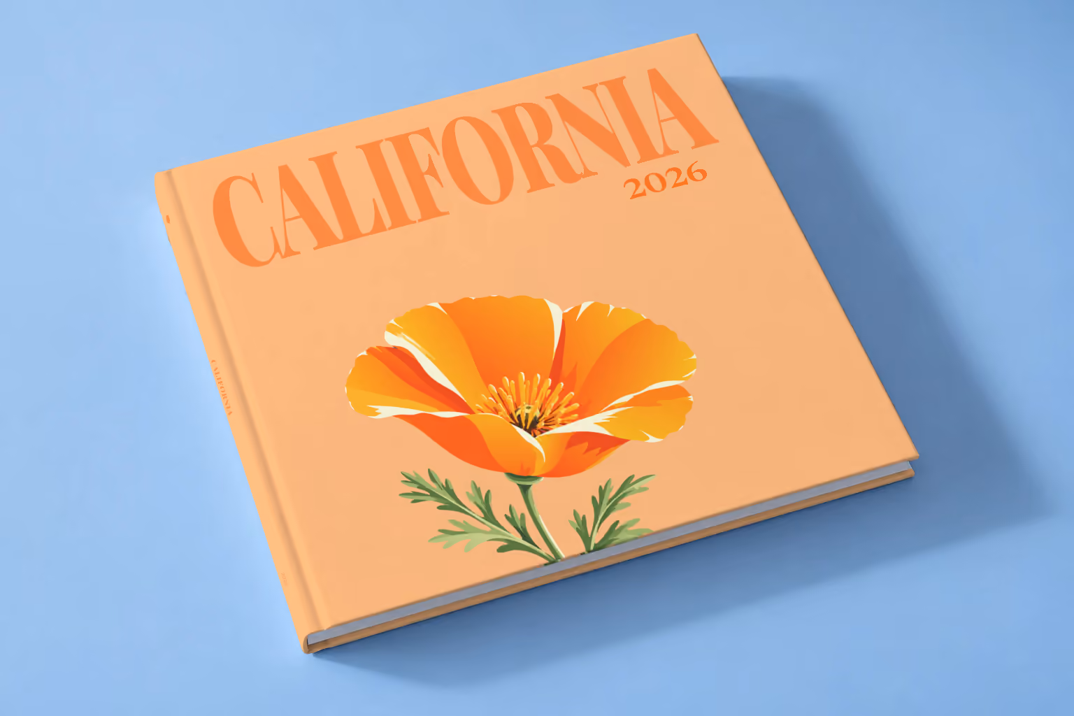 California square hardcover photo book with the illustrated cover of a California poppy on peach, lying on a pale blue studio backdrop