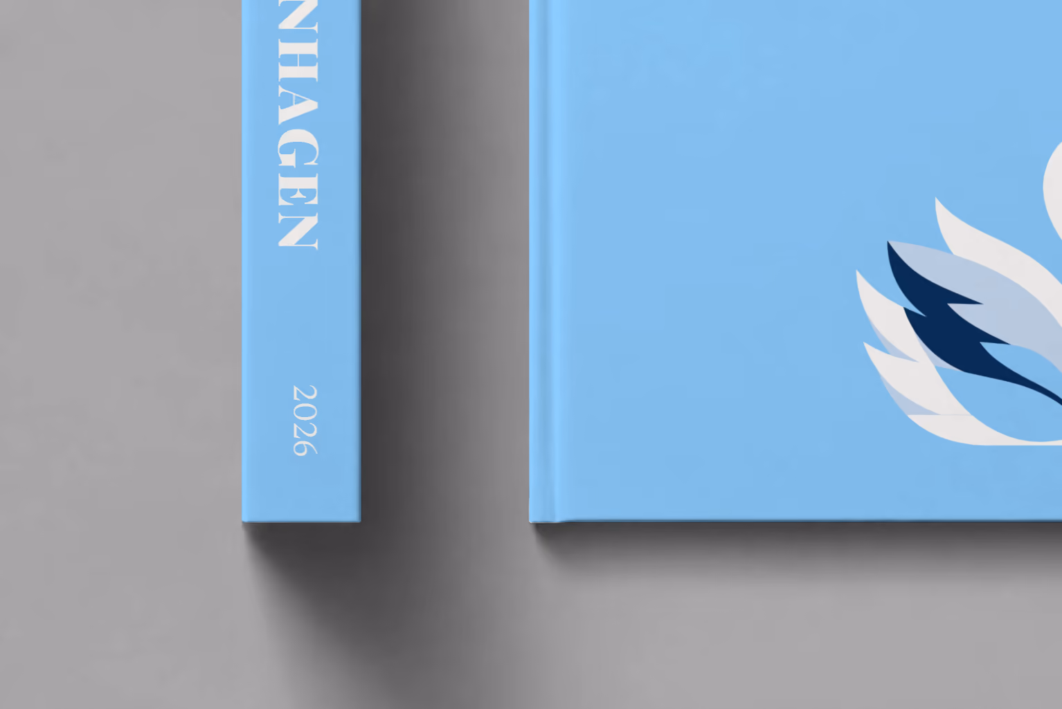 Denmark hardcover photo book with the Copenhagen illustrated cover of a white swan on sky blue, shown close up beside its spine on a pale grey studio surface
