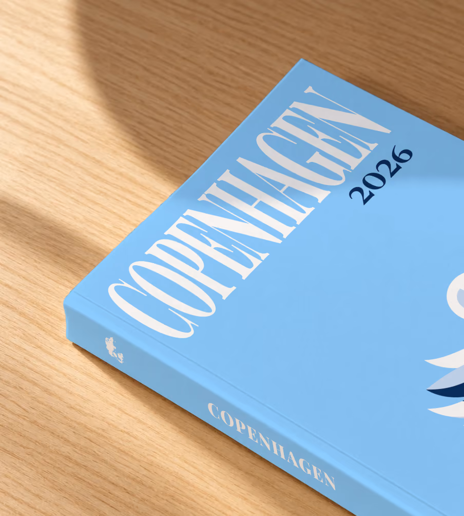 Denmark softcover photo book with the Copenhagen illustrated cover of a white swan on sky blue, lying on an oak desk in dappled afternoon sunlight