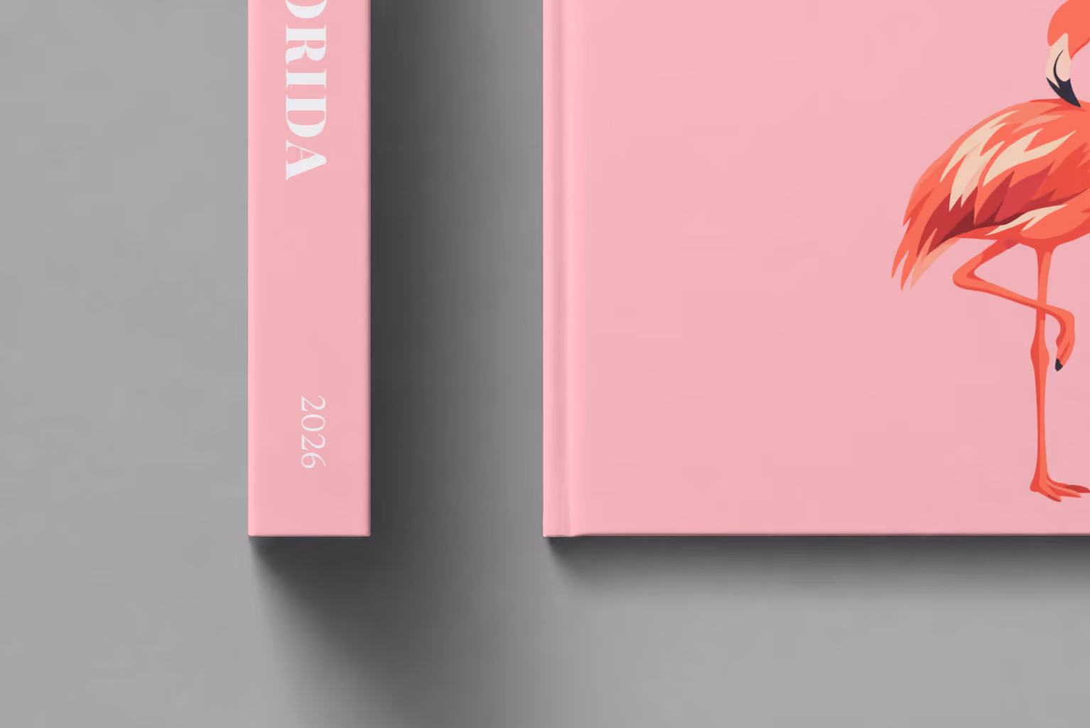 Florida hardcover photo book with the illustrated cover of a pink flamingo on pink, shown close up beside its spine on a pale grey studio surface
