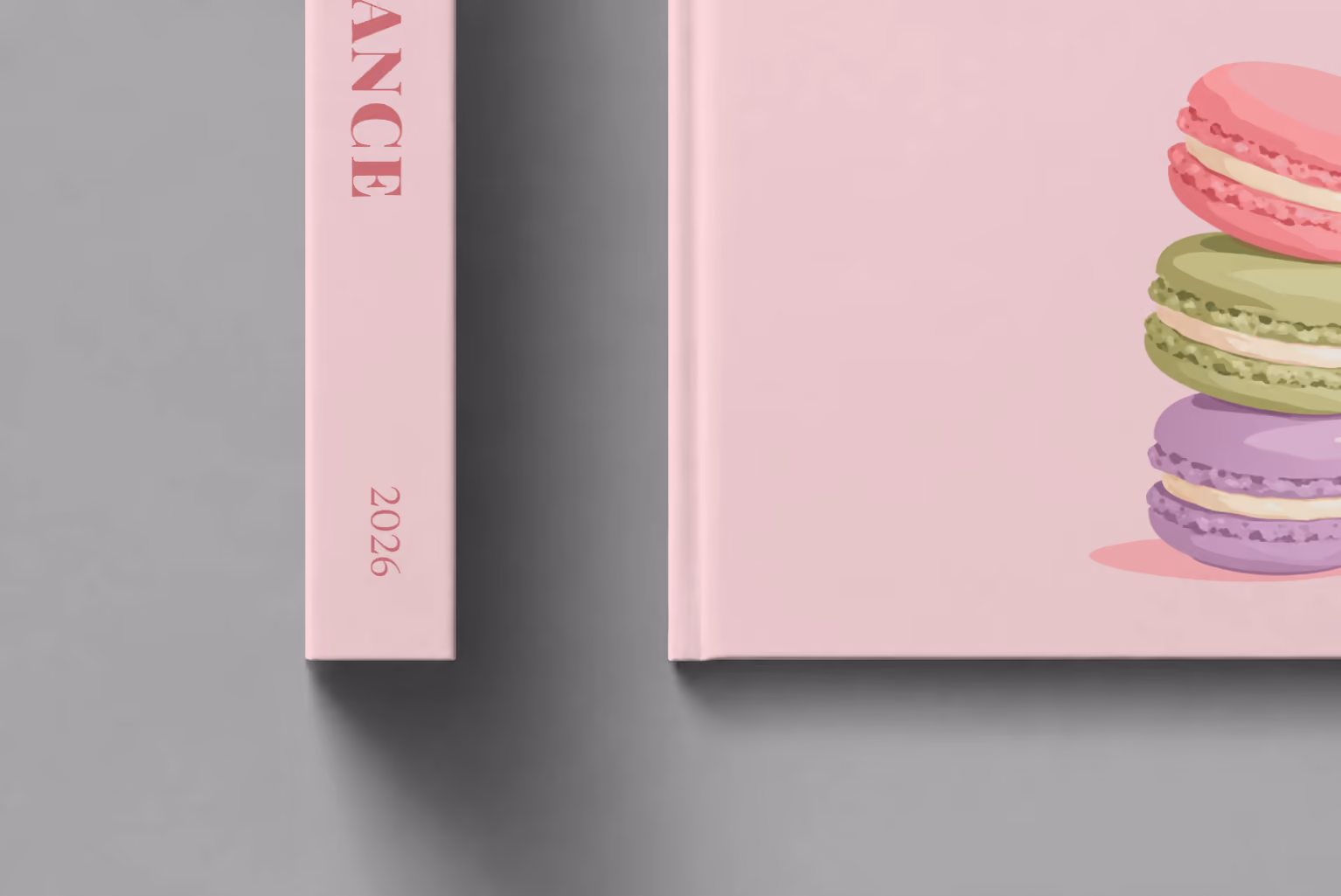 France hardcover photo book with the illustrated cover of a stack of macarons on pale pink, shown close up beside its spine on a pale grey studio surface