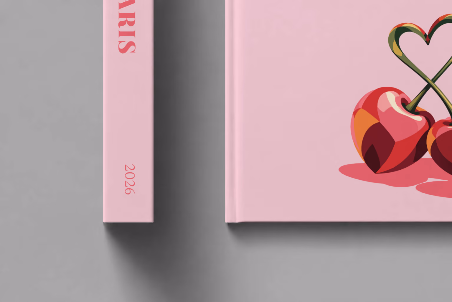 France hardcover photo book with the Paris illustrated cover of cherries with heart-shaped stems on pale pink, shown close up beside its spine on a pale grey studio surface