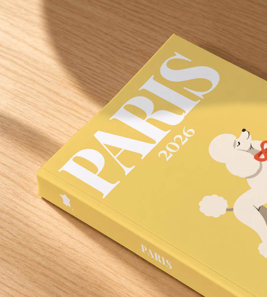 France softcover photo book with the Paris illustrated cover of a white poodle with a red bow on yellow, lying on an oak desk in dappled afternoon sunlight