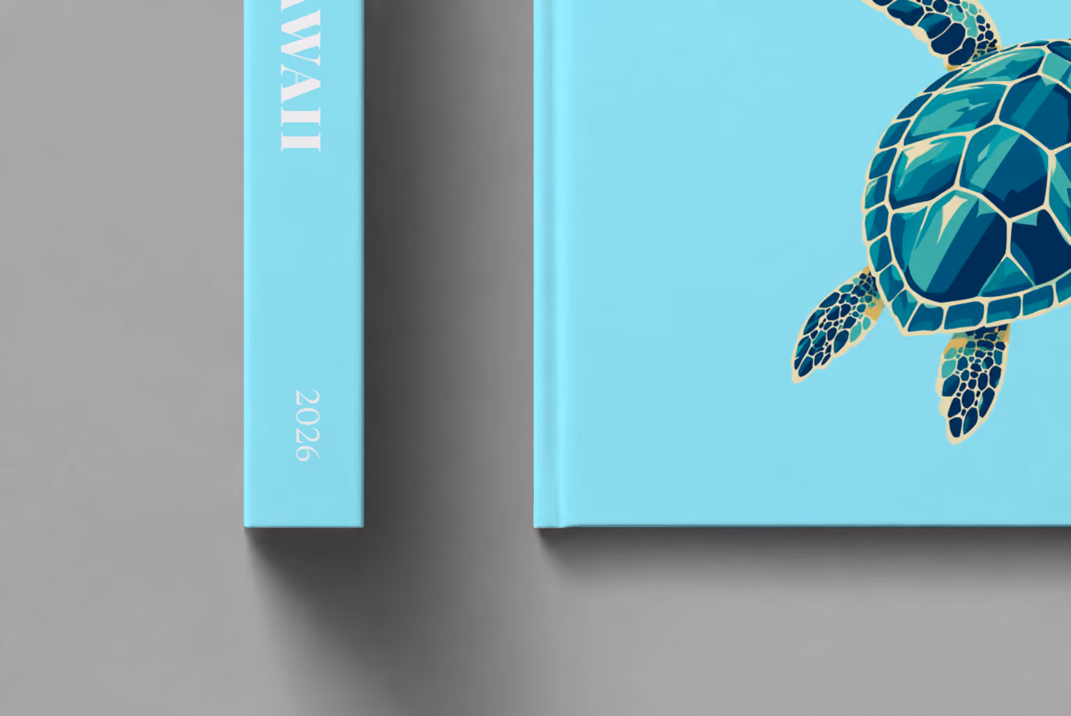 Hawaii hardcover photo book with the illustrated cover of a green sea turtle on pale aqua, shown close up beside its spine on a pale grey studio surface