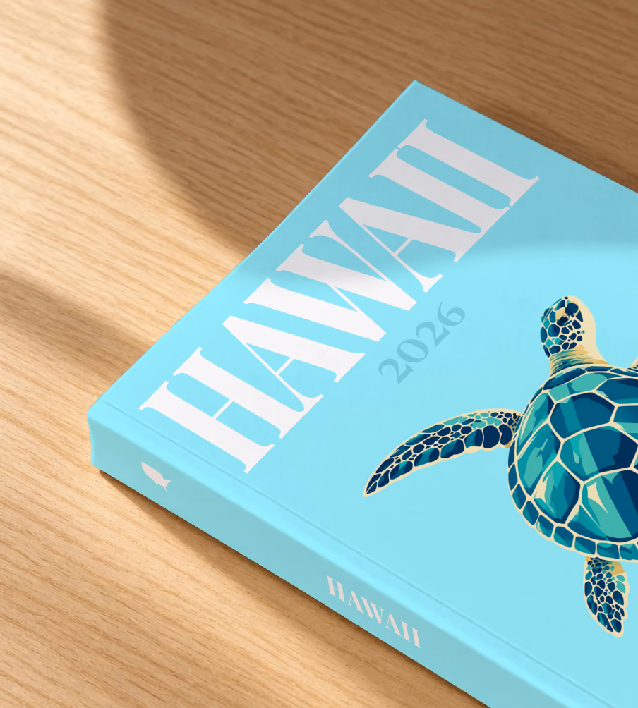 Hawaii softcover photo book with the illustrated cover of a green sea turtle on pale aqua, lying on an oak desk in dappled afternoon sunlight