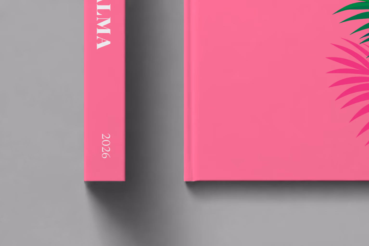 Mallorca hardcover photo book with the Palma illustrated cover of a palm frond on hot pink, shown close up beside its spine on a pale grey studio surface