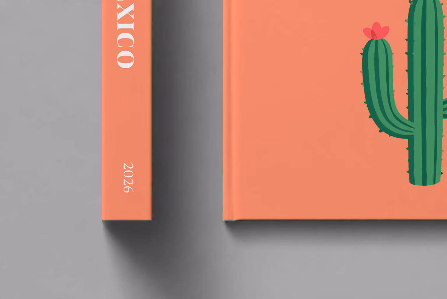 Mexico hardcover photo book with the illustrated cover of a flowering cactus on coral, shown close up beside its spine on a pale grey studio surface