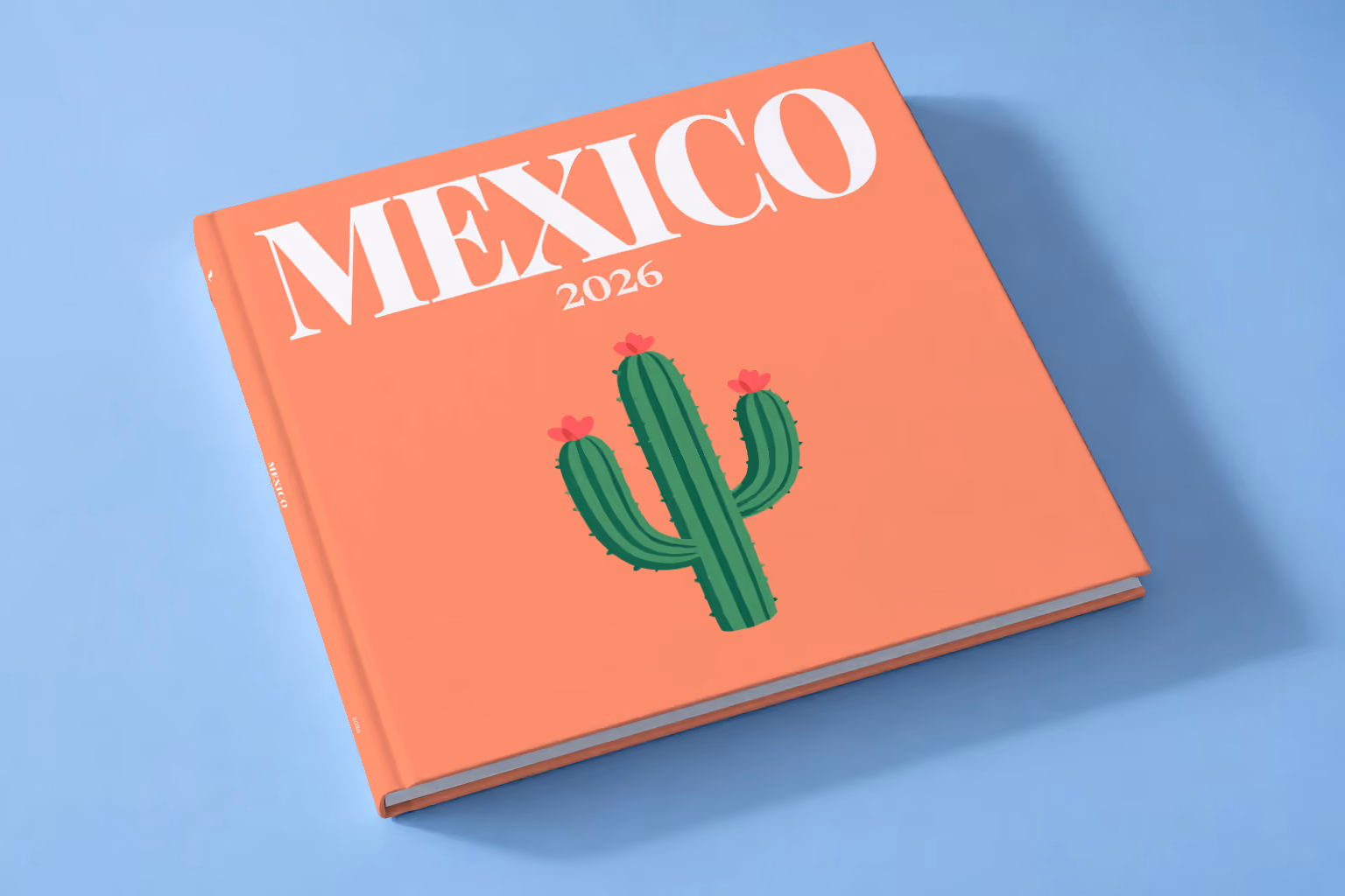 Mexico square hardcover photo book with the illustrated cover of a flowering cactus on coral, lying on a pale blue studio backdrop