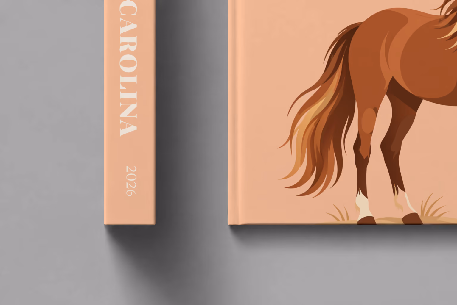 North Carolina hardcover photo book with the illustrated cover of a wild Outer Banks horse on peach, shown close up beside its spine on a pale grey studio surface