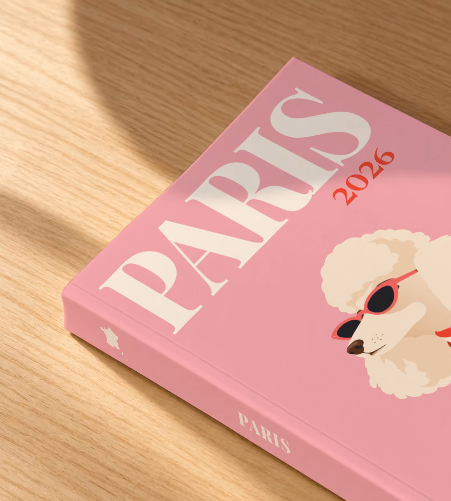 Paris softcover photo book with the illustrated cover of a poodle in sunglasses and a scarf on pink, lying on an oak desk in dappled afternoon sunlight