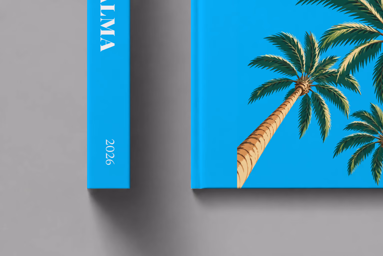 Spain hardcover photo book with the Palma illustrated cover of palm trees on bright blue, shown close up beside its spine on a pale grey studio surface