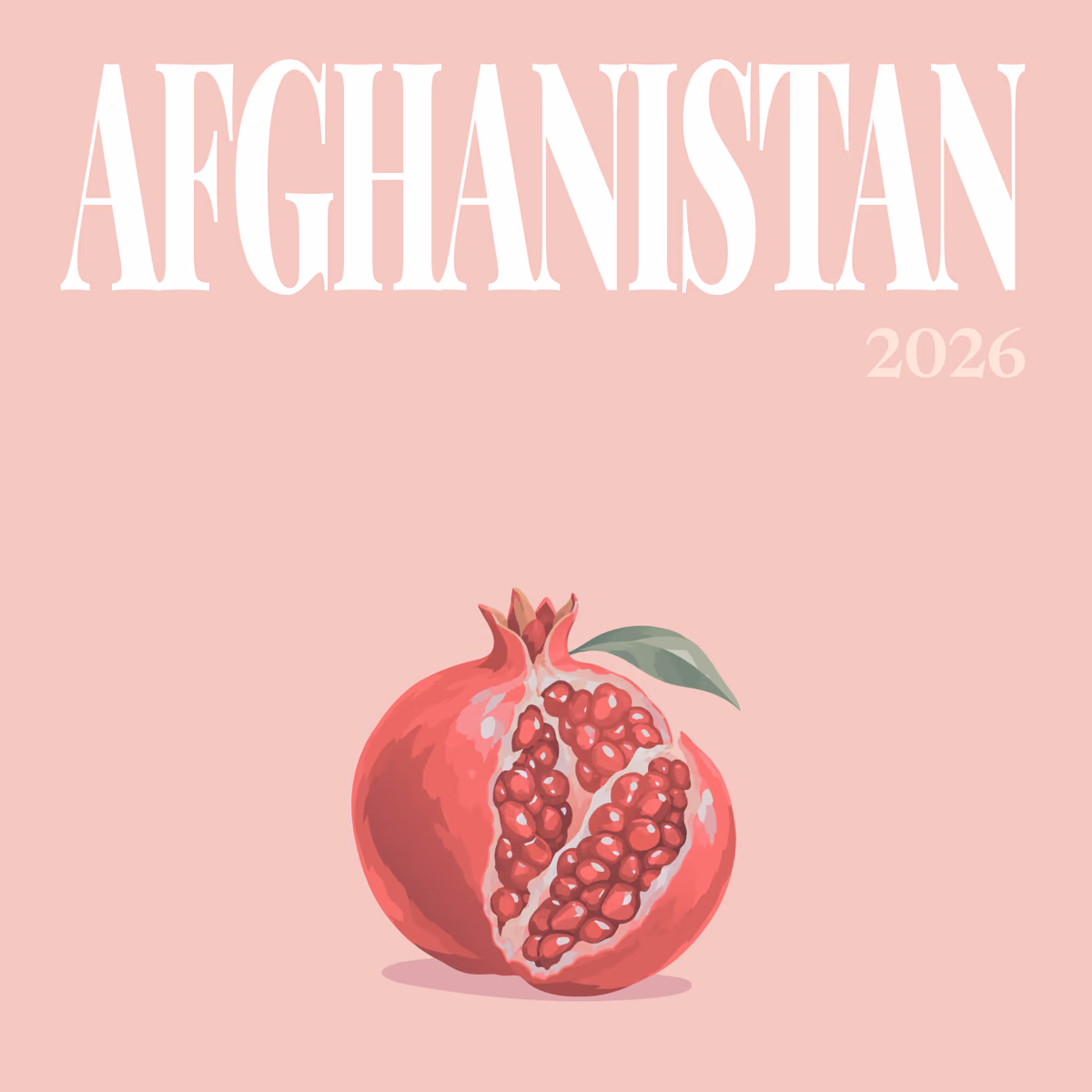 Afghanistan illustrated square photo book cover with the pomegranate artwork