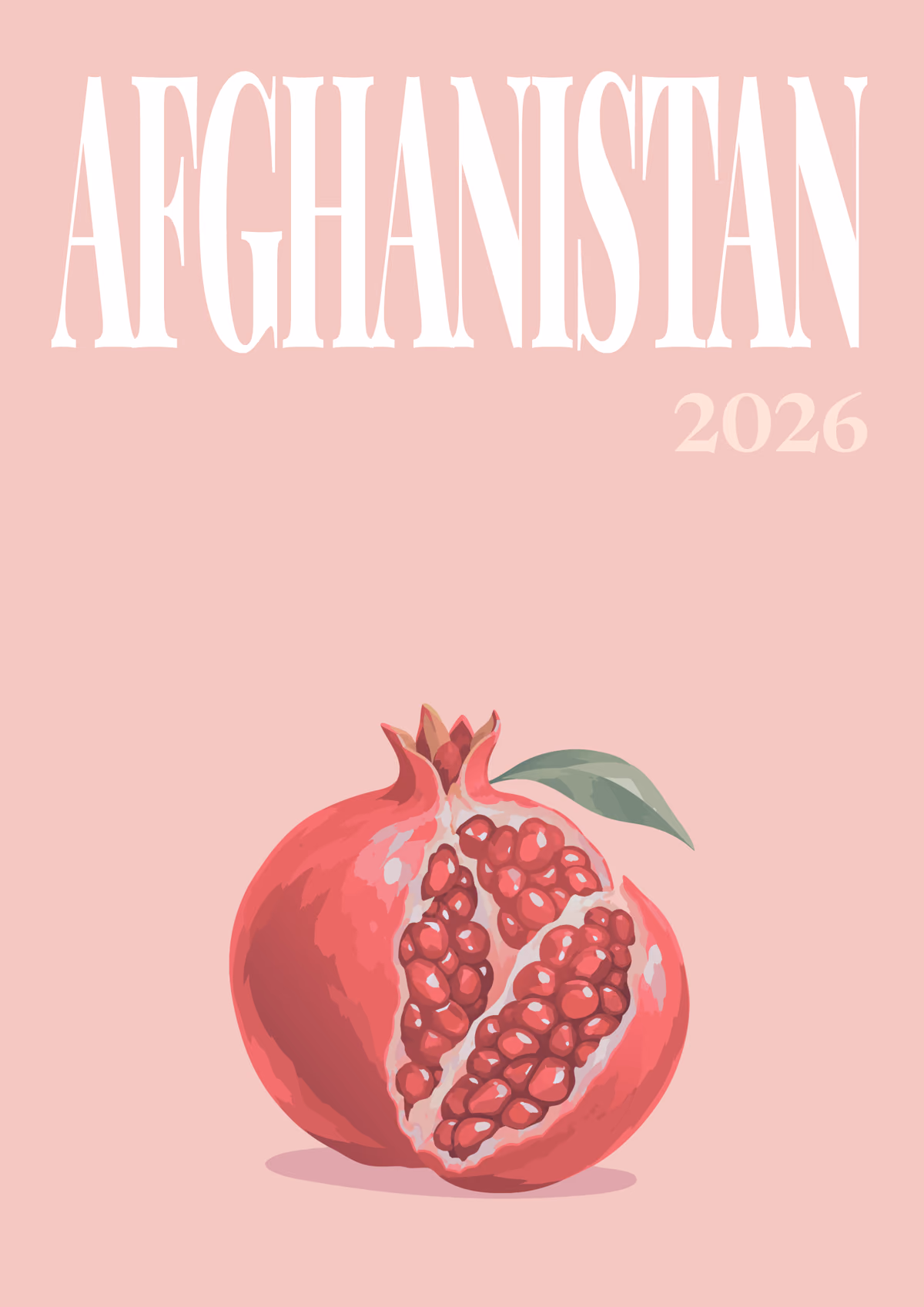 Afghanistan illustrated travel photo book cover with the pomegranate artwork