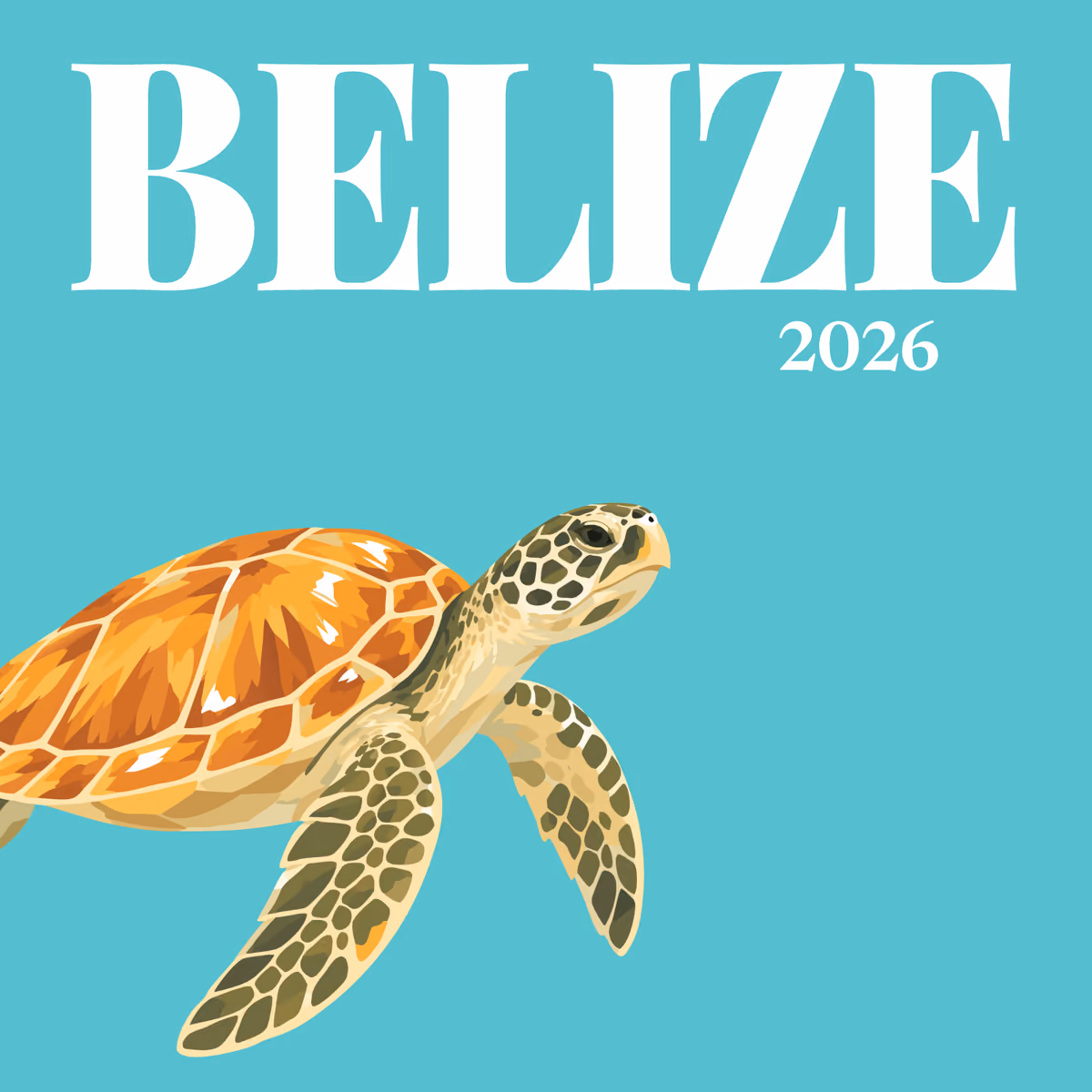 Belize illustrated square photo book cover with the sea turtle artwork