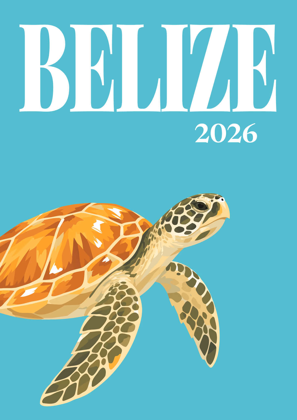 Belize illustrated travel photo book cover with the sea turtle artwork