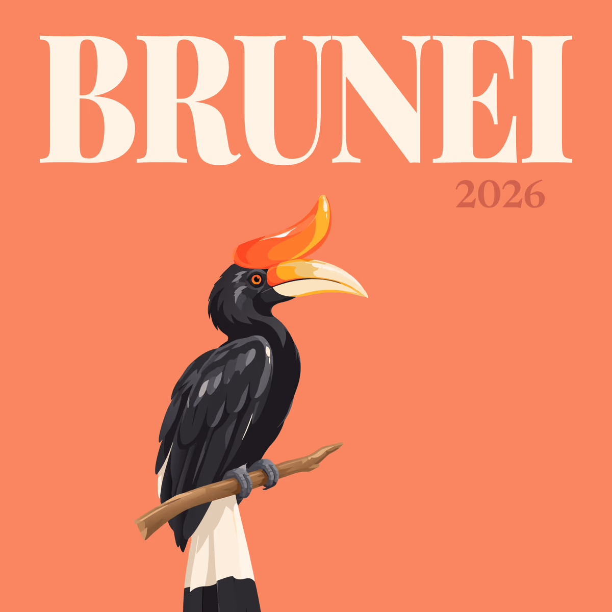 Brunei illustrated square photo book cover with the rhinoceros hornbill artwork