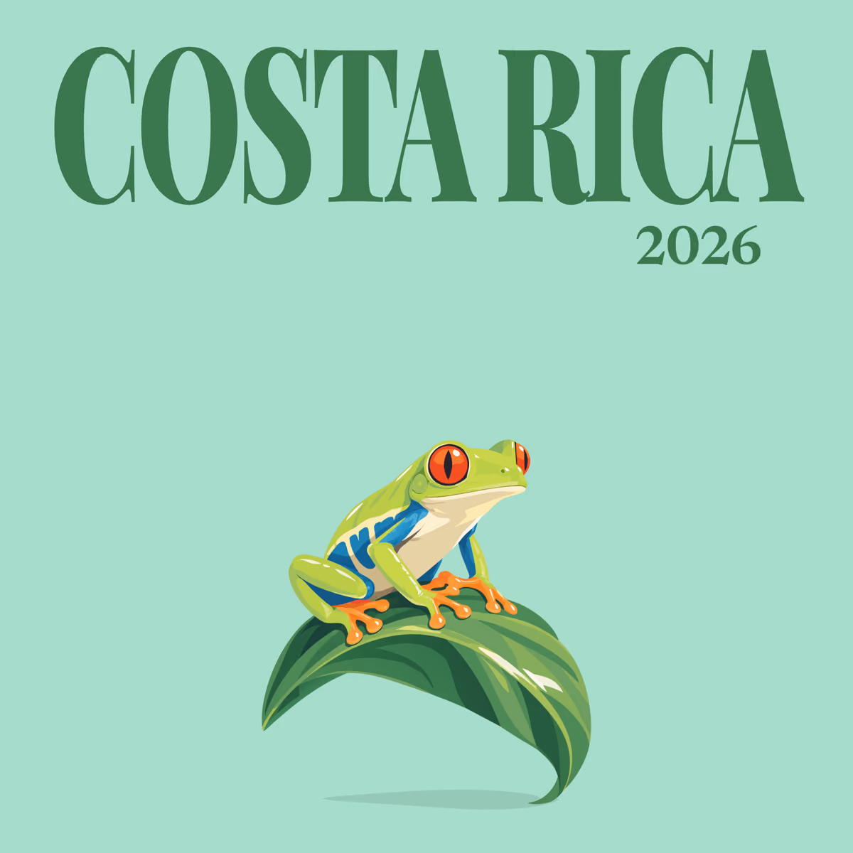 Costa Rica illustrated square photo book cover with the red-eyed tree frog artwork