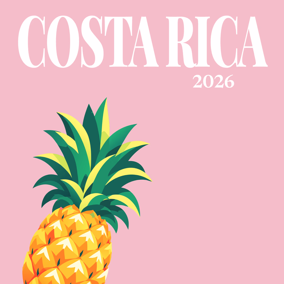 Costa Rica illustrated square photo book cover with the pineapple artwork