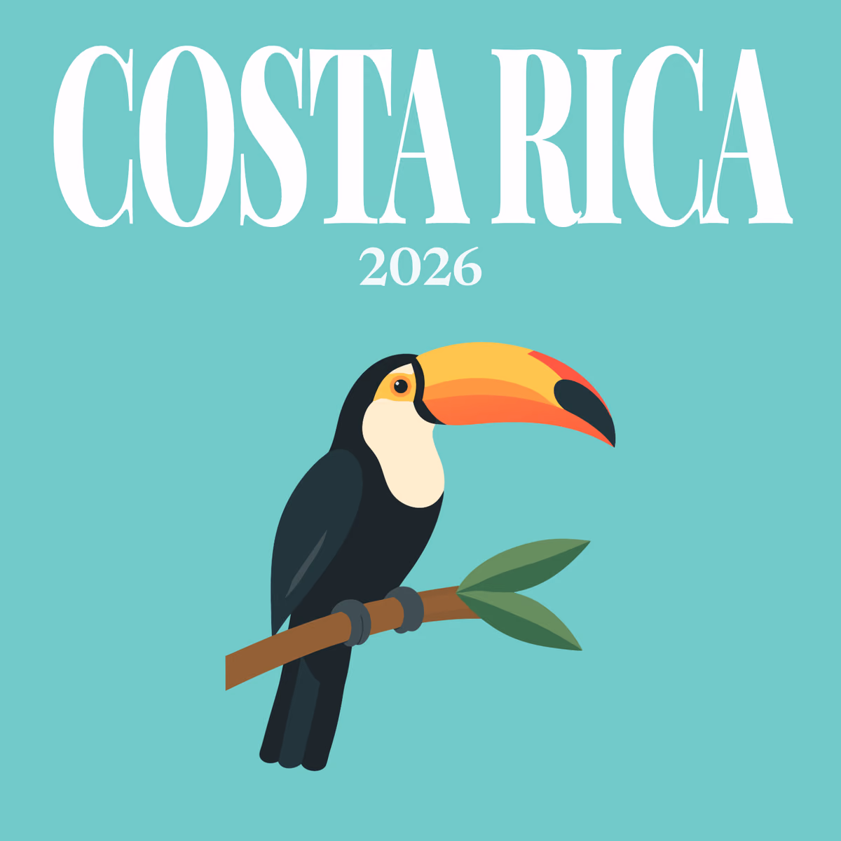 Costa Rica illustrated square photo book cover with the toucan on a branch artwork