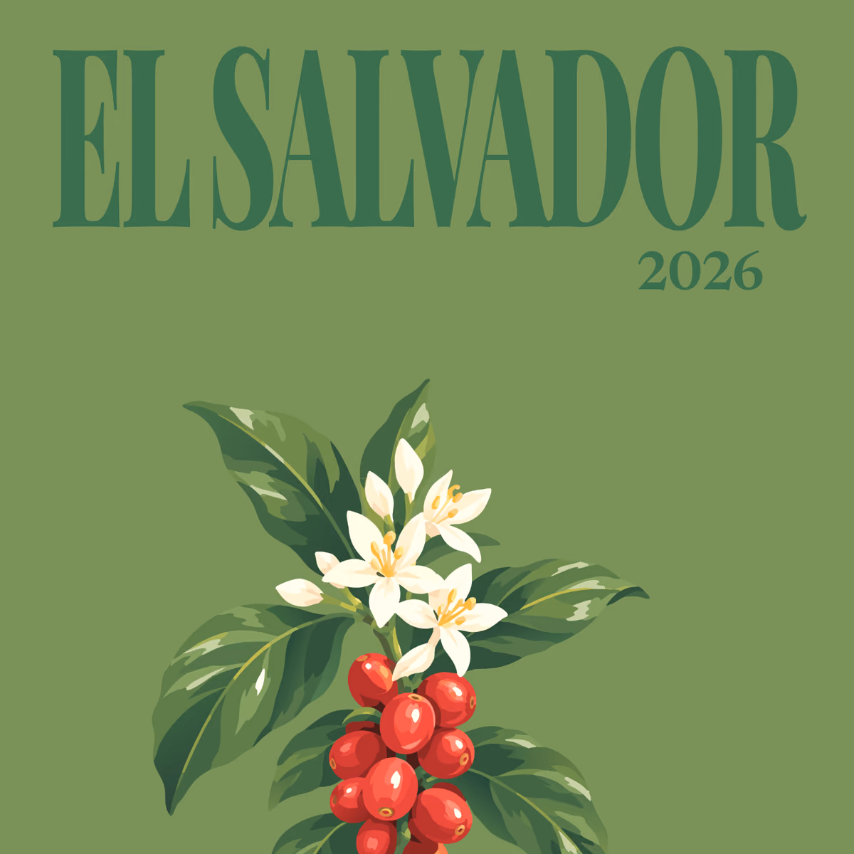 El Salvador illustrated square photo book cover with the coffee blossom artwork