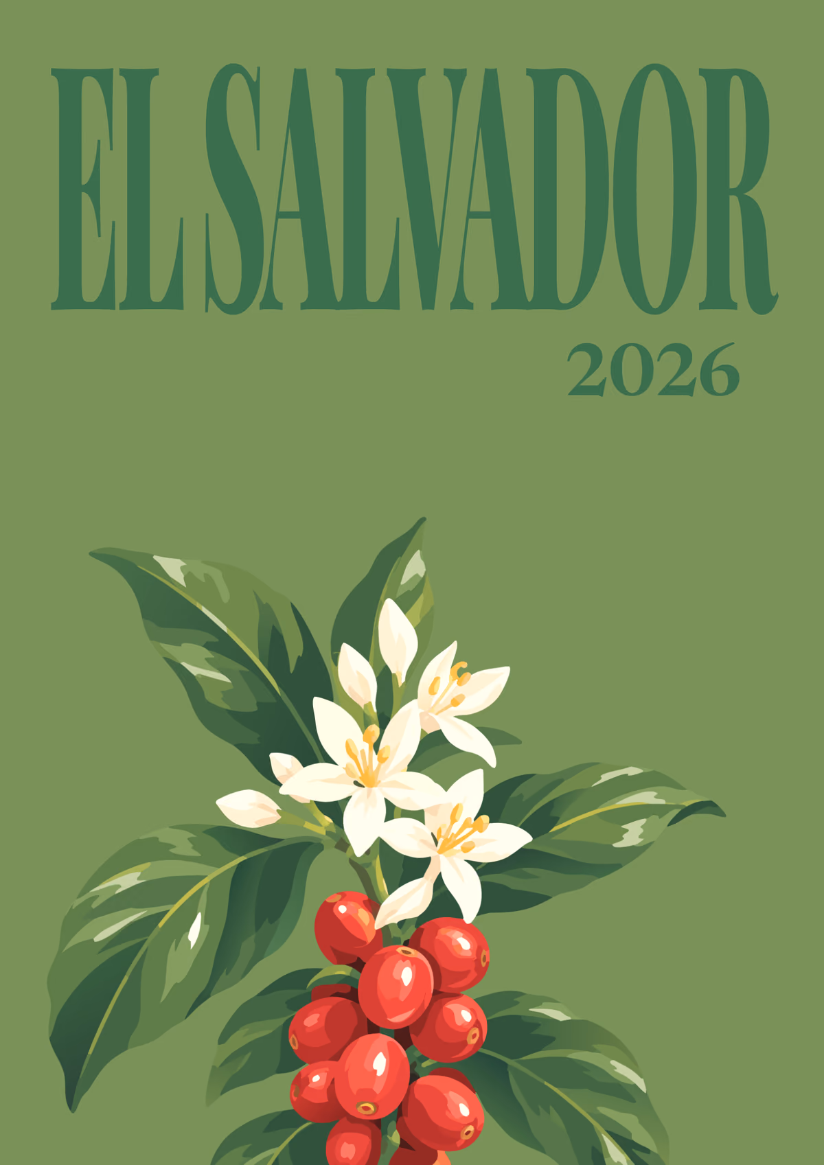 El Salvador illustrated travel photo book cover with the coffee blossom artwork