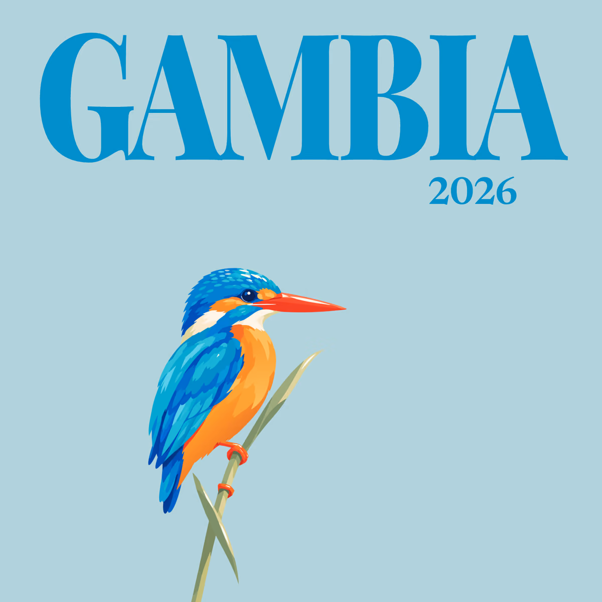 Gambia illustrated square photo book cover with the kingfisher artwork