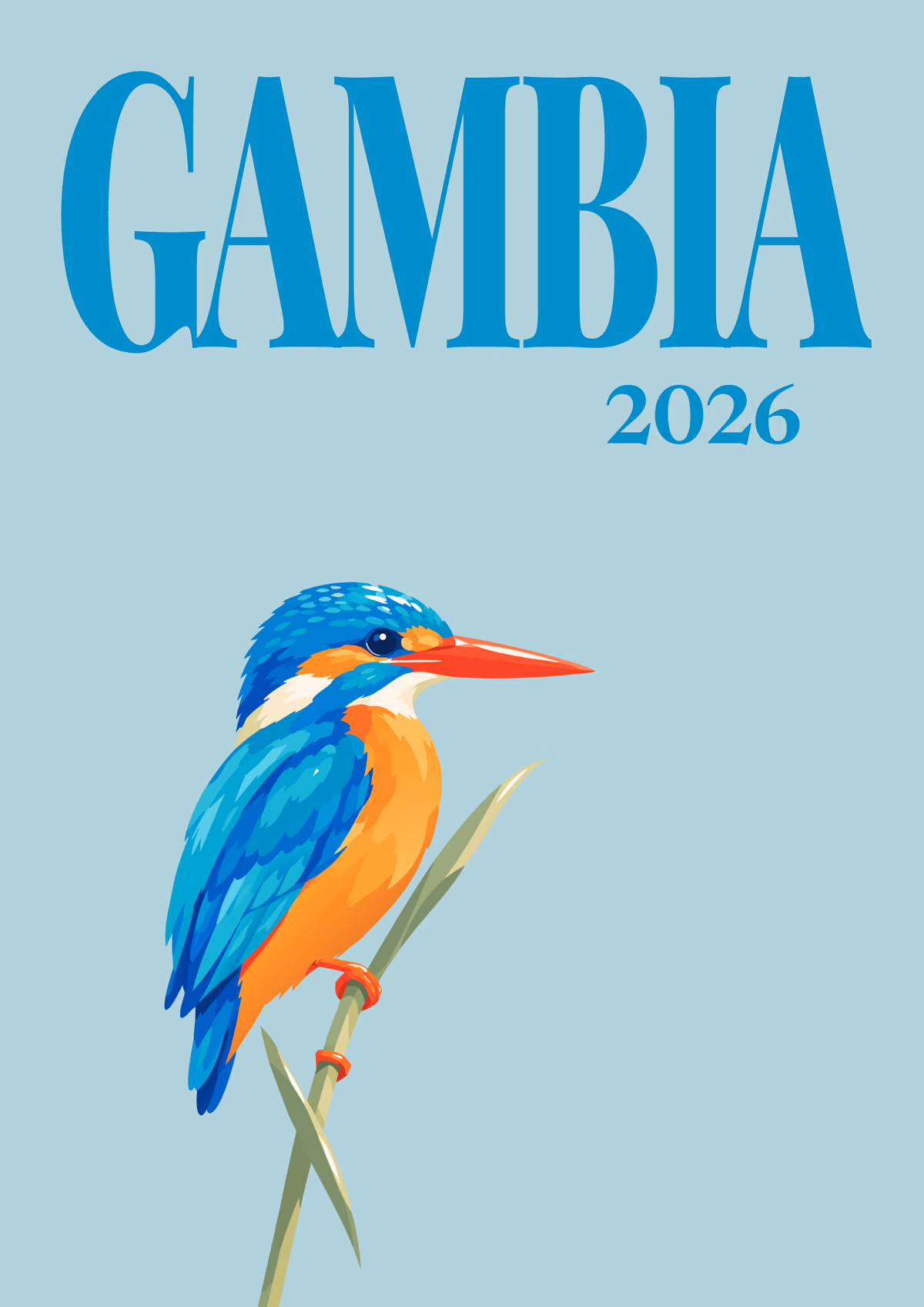 Gambia illustrated travel photo book cover with the kingfisher artwork