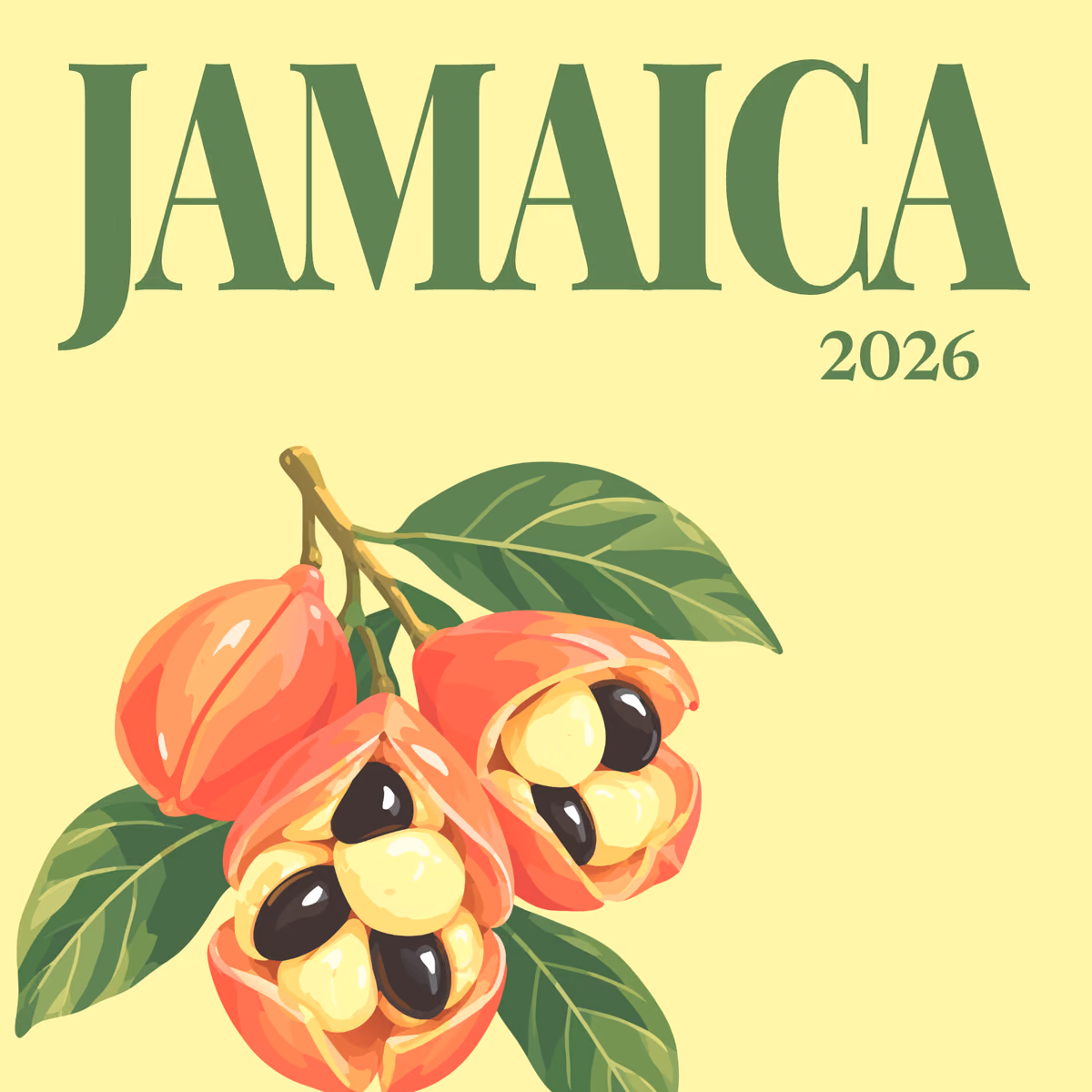 Jamaica illustrated square photo book cover with the ackee artwork