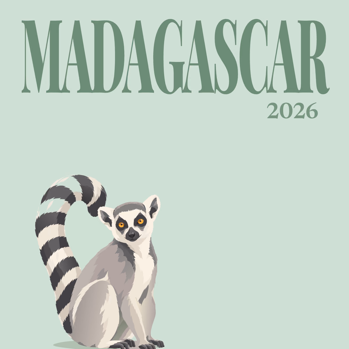 Madagascar illustrated square photo book cover with the ring-tailed lemur artwork