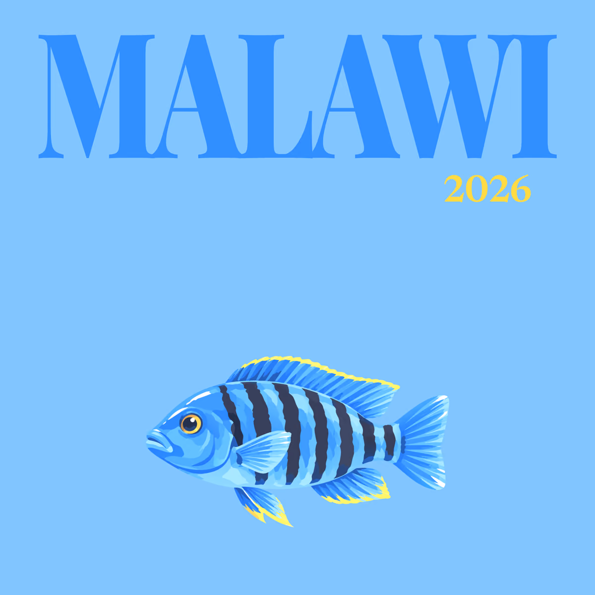 Malawi illustrated square photo book cover with the cichlid fish artwork