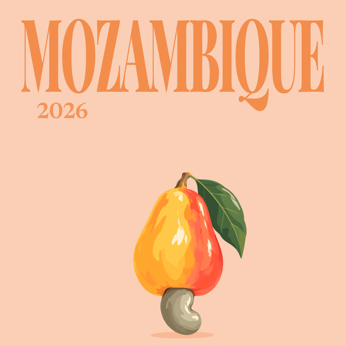 Mozambique illustrated square photo book cover with the cashew apple artwork