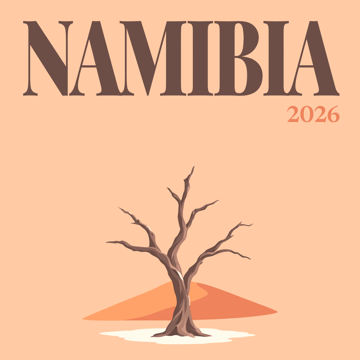 Namibia illustrated square photo book cover with the Deadvlei tree artwork