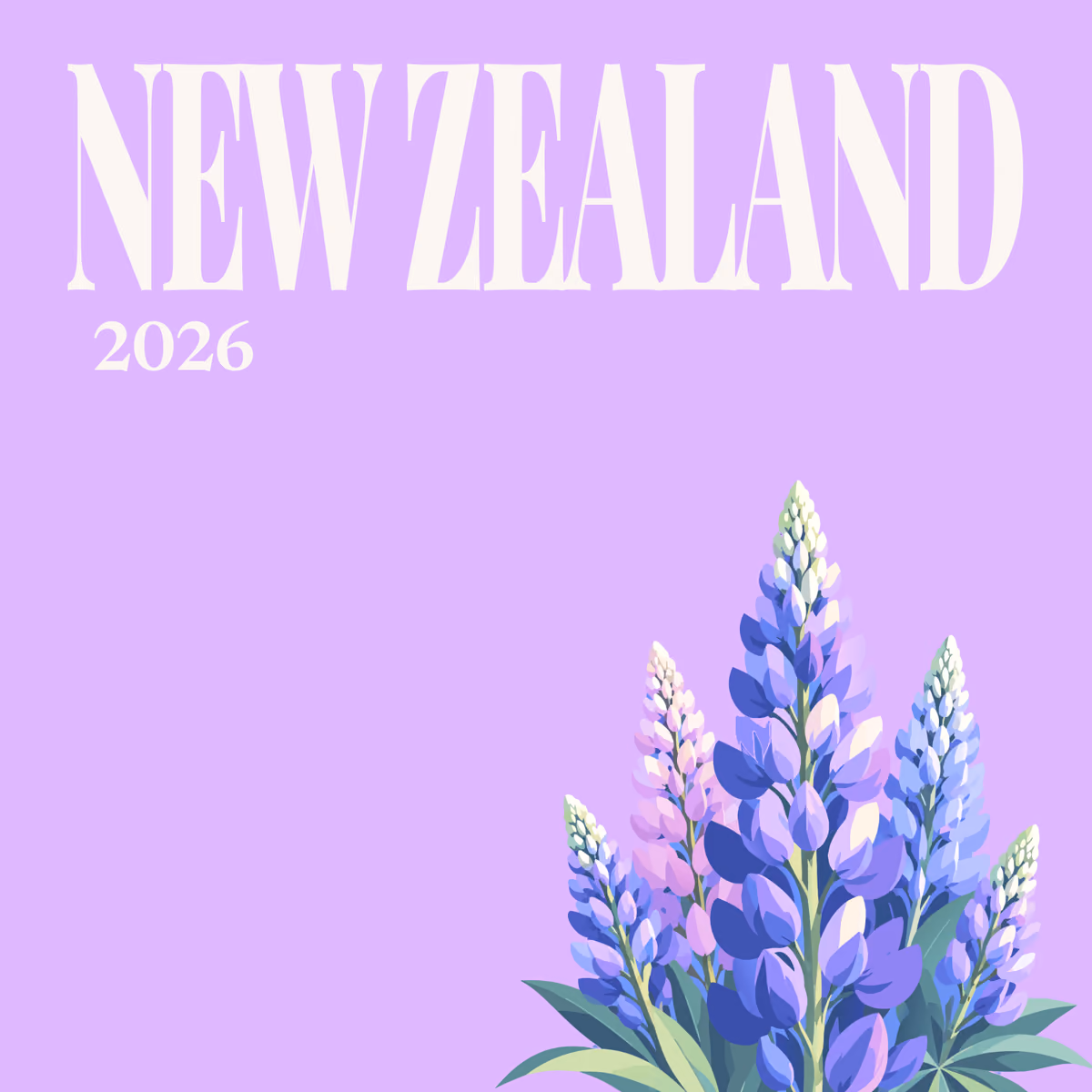 New Zealand illustrated square photo book cover with the lupins artwork