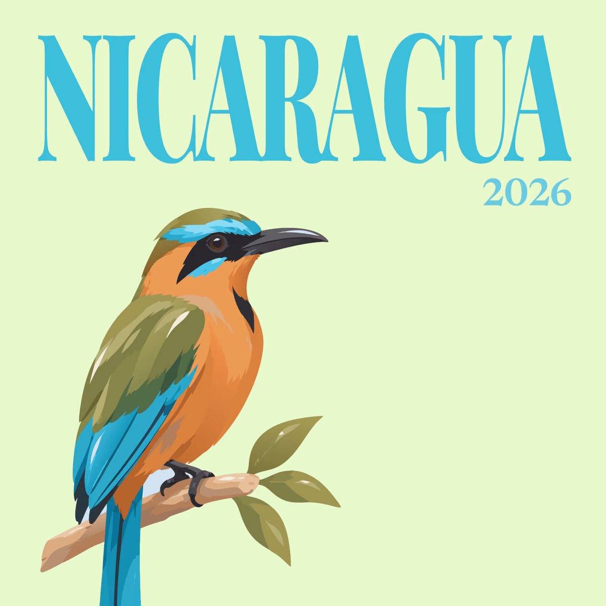 Nicaragua illustrated square photo book cover with the guardabarranco artwork