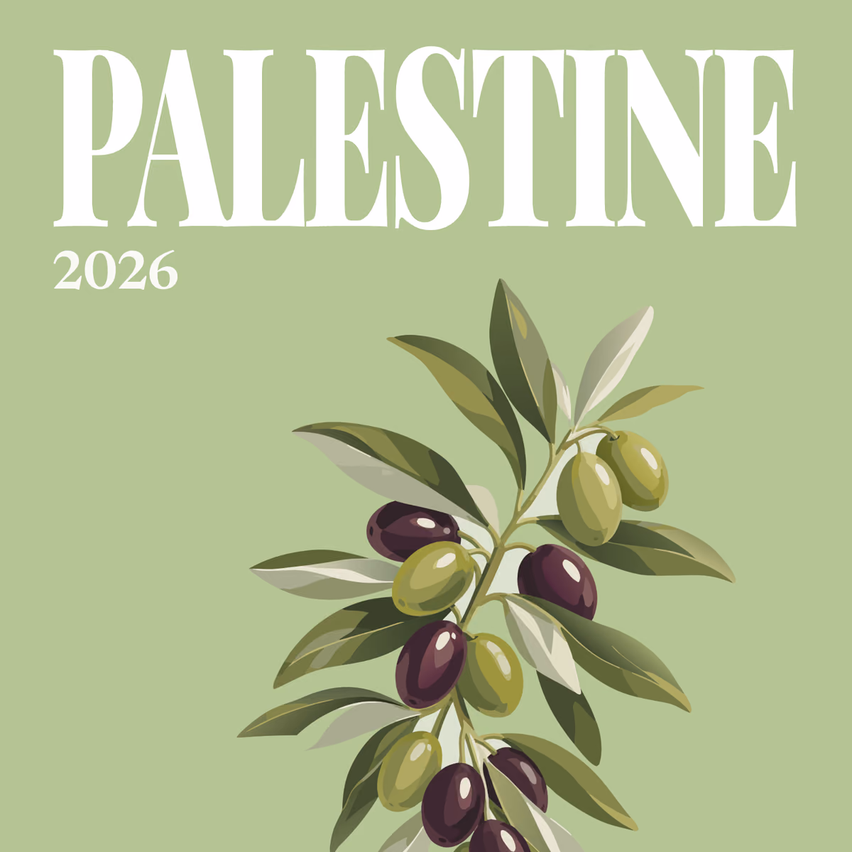 Palestine illustrated square photo book cover with the olive branch artwork