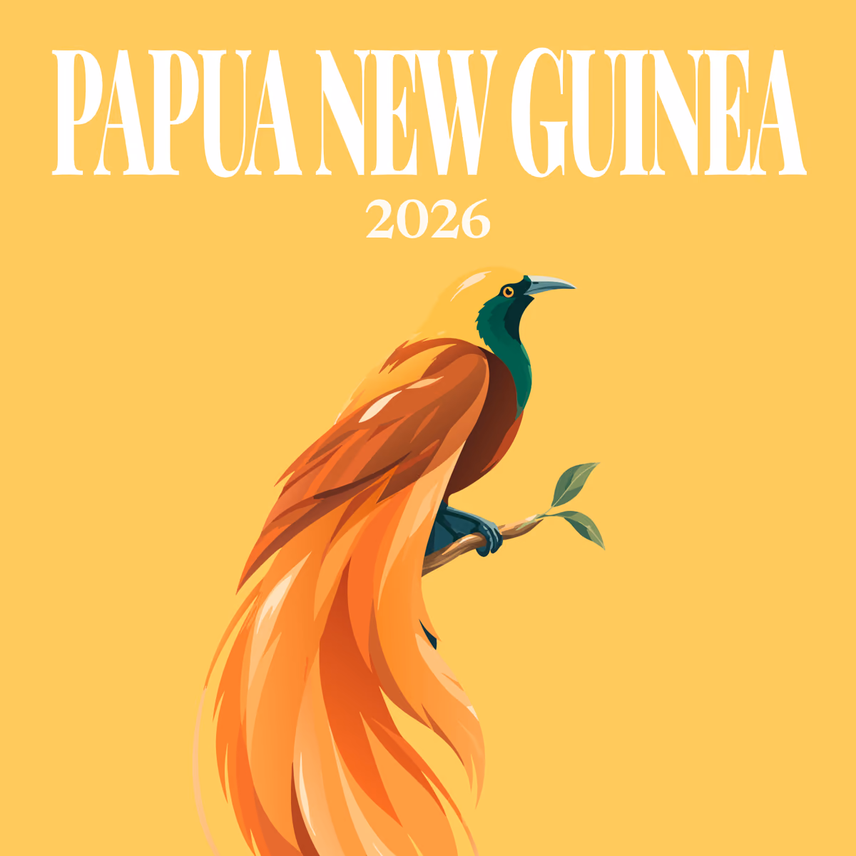Papua New Guinea illustrated square photo book cover with the bird-of-paradise artwork