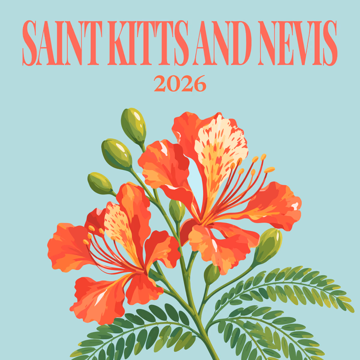 Saint Kitts and Nevis illustrated square photo book cover with the flamboyant blossom artwork