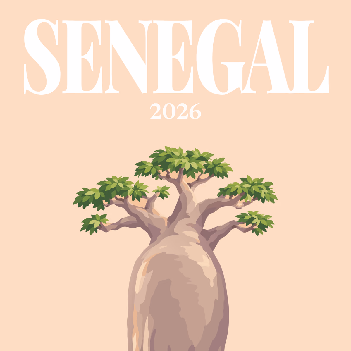 Senegal illustrated square photo book cover with the baobab artwork