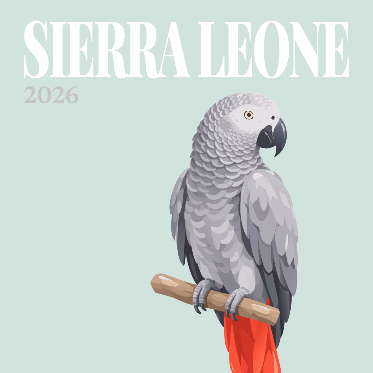 Sierra Leone illustrated square photo book cover with the African grey parrot artwork