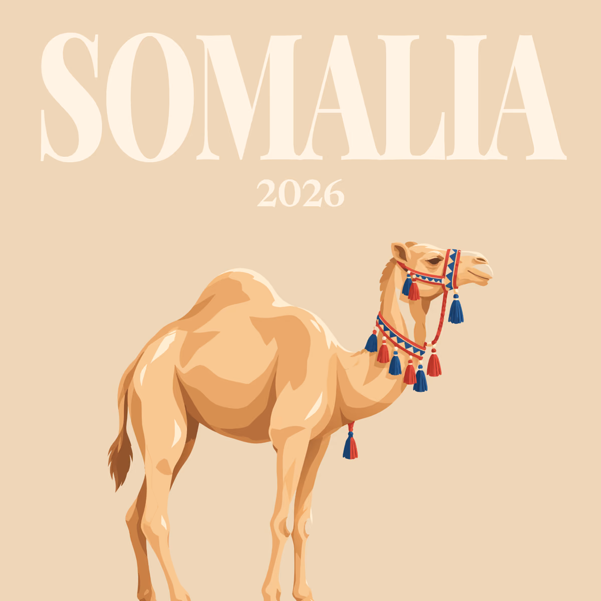 Somalia illustrated square photo book cover with the camel artwork
