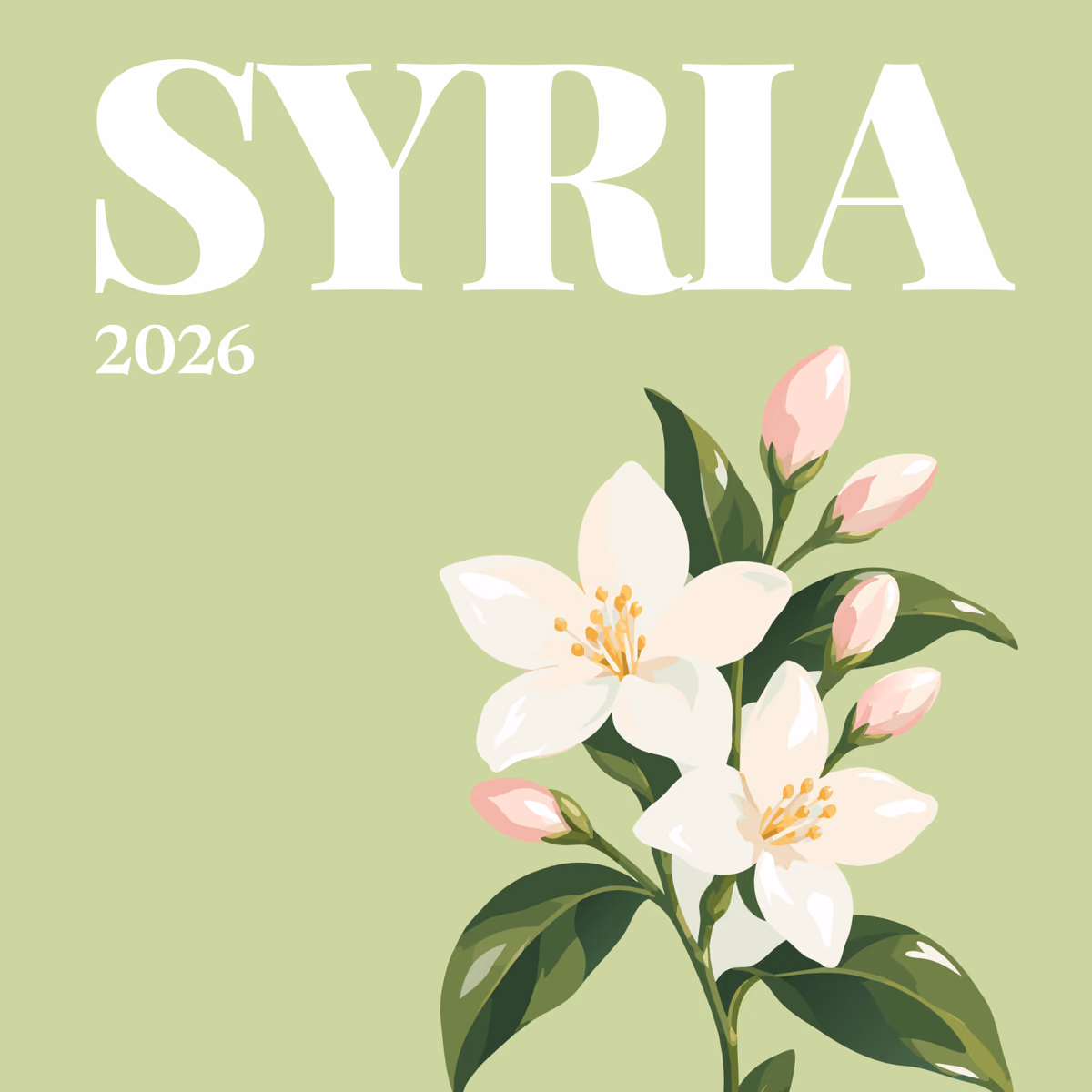 Syria illustrated square photo book cover with the Damascus jasmine artwork