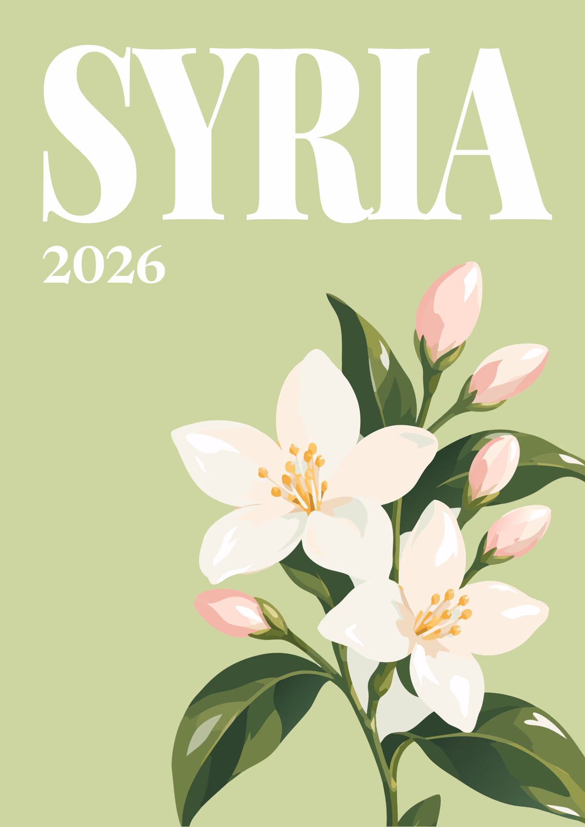 Syria illustrated travel photo book cover with the Damascus jasmine artwork